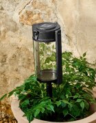 LOBERON Lampion solarny Lumeriss