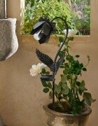 LOBERON Lampion solarny Velthor
