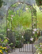 LOBERON Pergola ogrodowa Skyrose