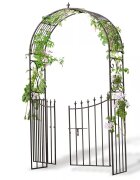 LOBERON Pergola ogrodowa Skyrose