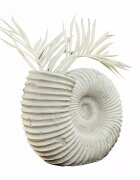 LOBERON Wazon Korrellin