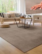 teppich.pl Dywan Calissa taupe 80x150 cm