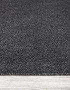 teppich.pl Dywan o płaskim splocie Barca antracyt 200x280 cm