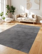 teppich.pl Puszysty dywan Solina antracyt 100x200 cm