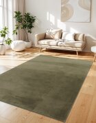 teppich.pl Puszysty dywan Solina zielony 300x400 cm