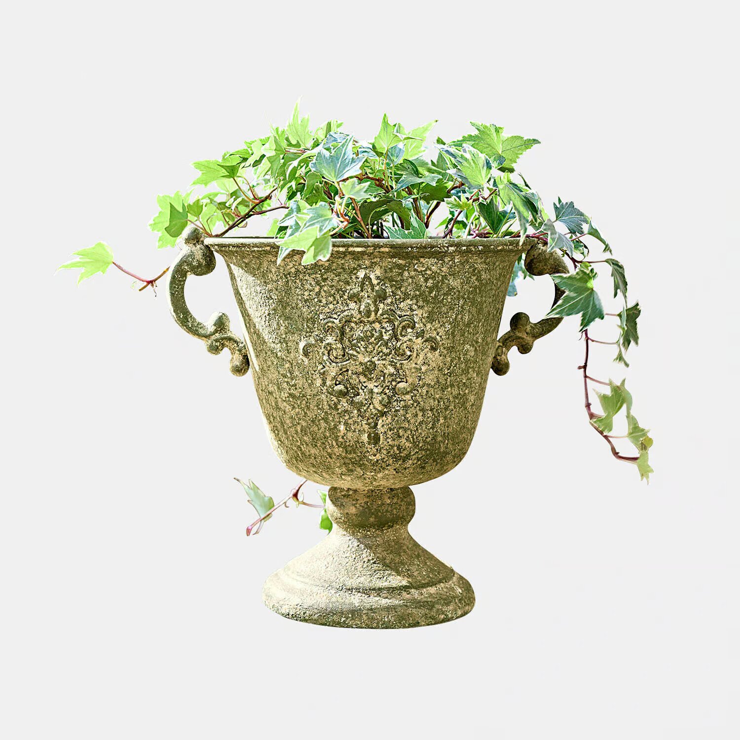 LOBERON Amfora Ivyridge