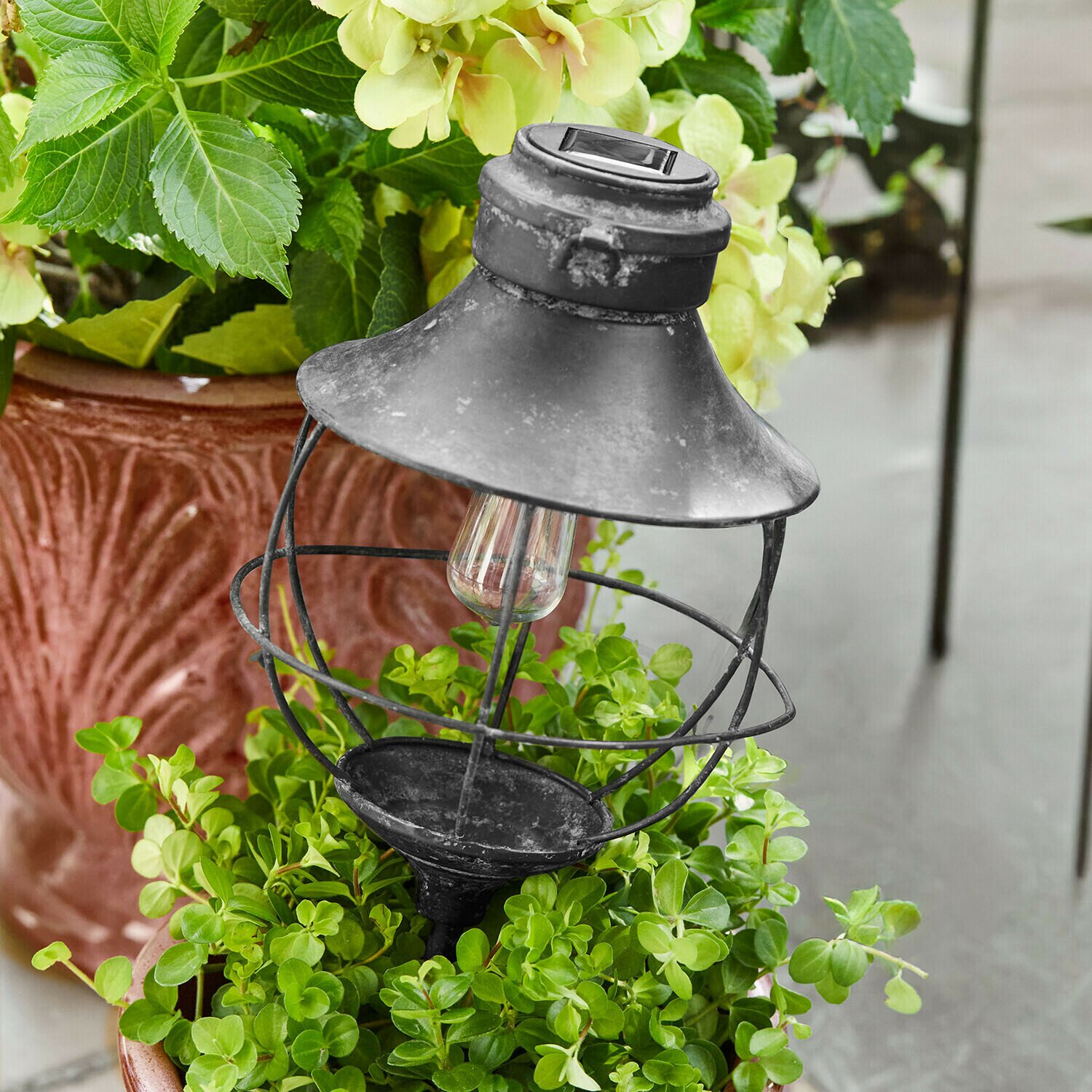 LOBERON Lampion solarny Trelonne
