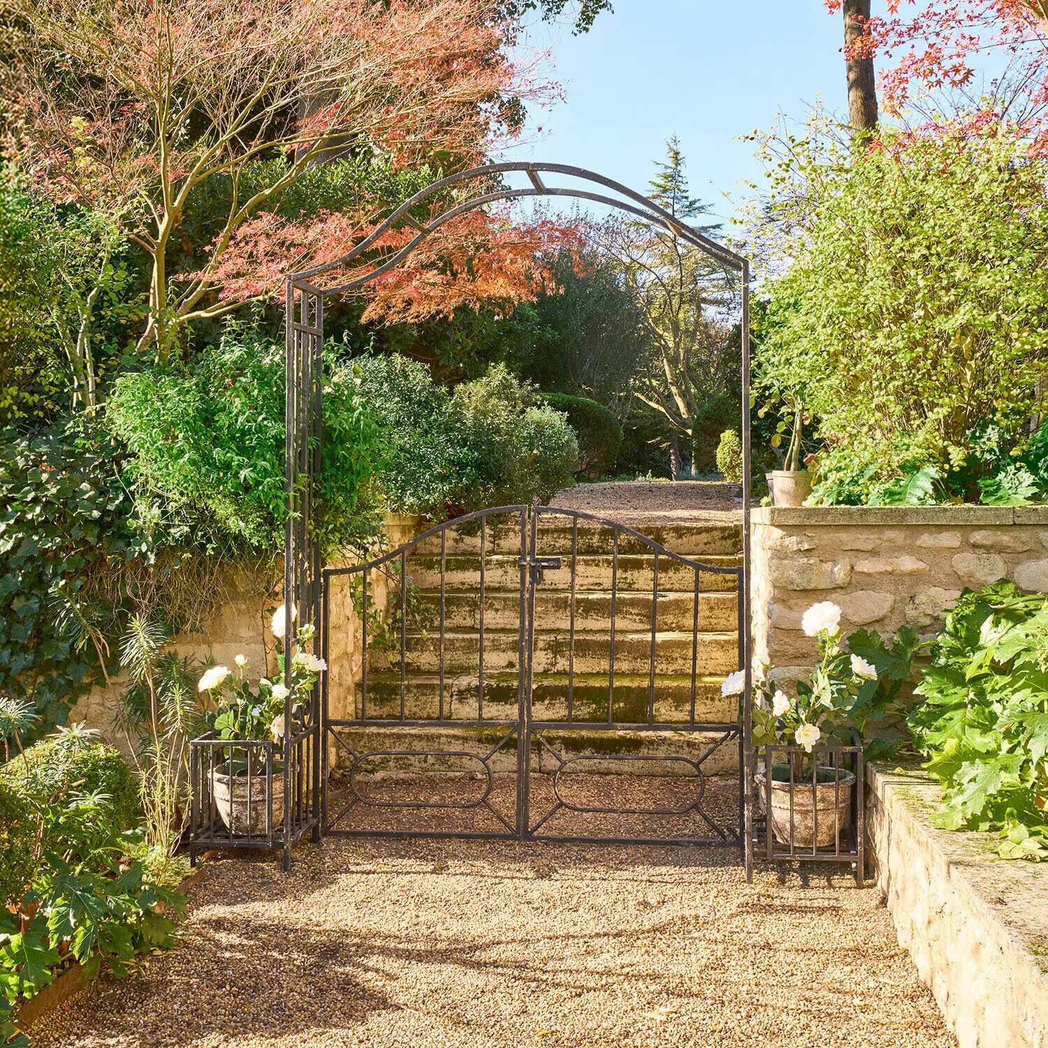 LOBERON Pergola Donnérie