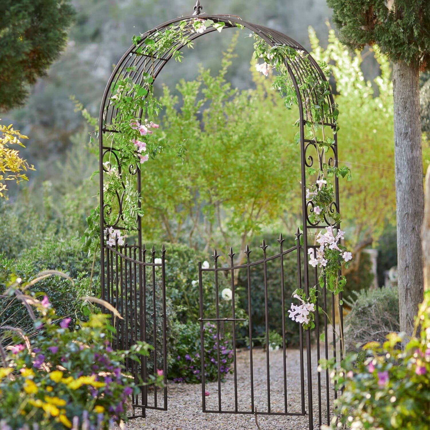 LOBERON Pergola ogrodowa Skyrose