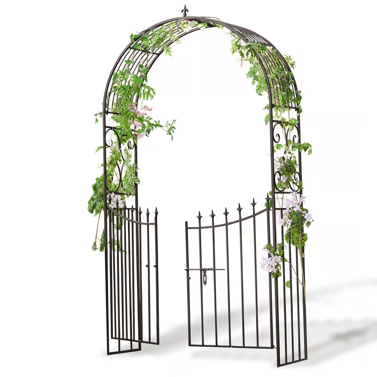 LOBERON Pergola ogrodowa Skyrose